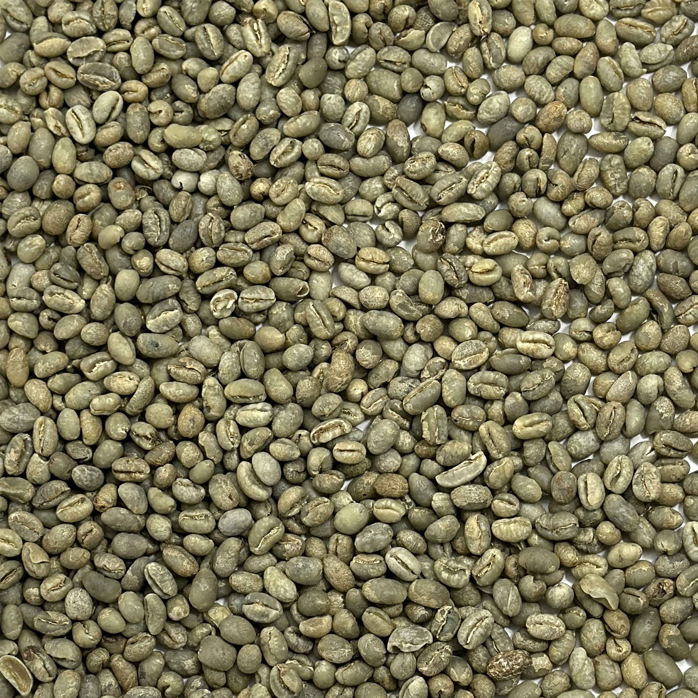 Kenya Peaberry Plus 15/16 Green Coffee Beans - Coffee Bean Corral