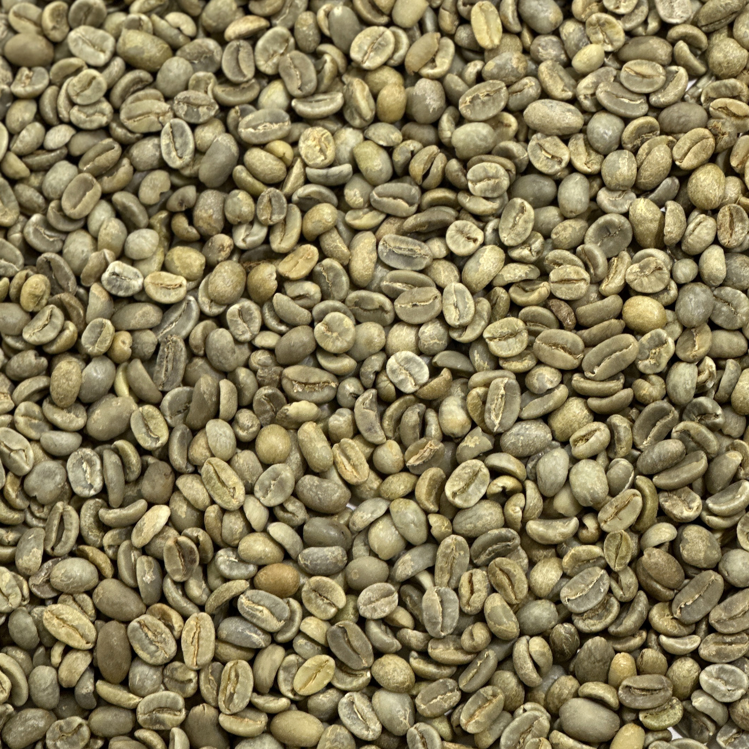 Ferdelance Espresso Blend Unroasted Coffee Beans - Coffee Bean Corral