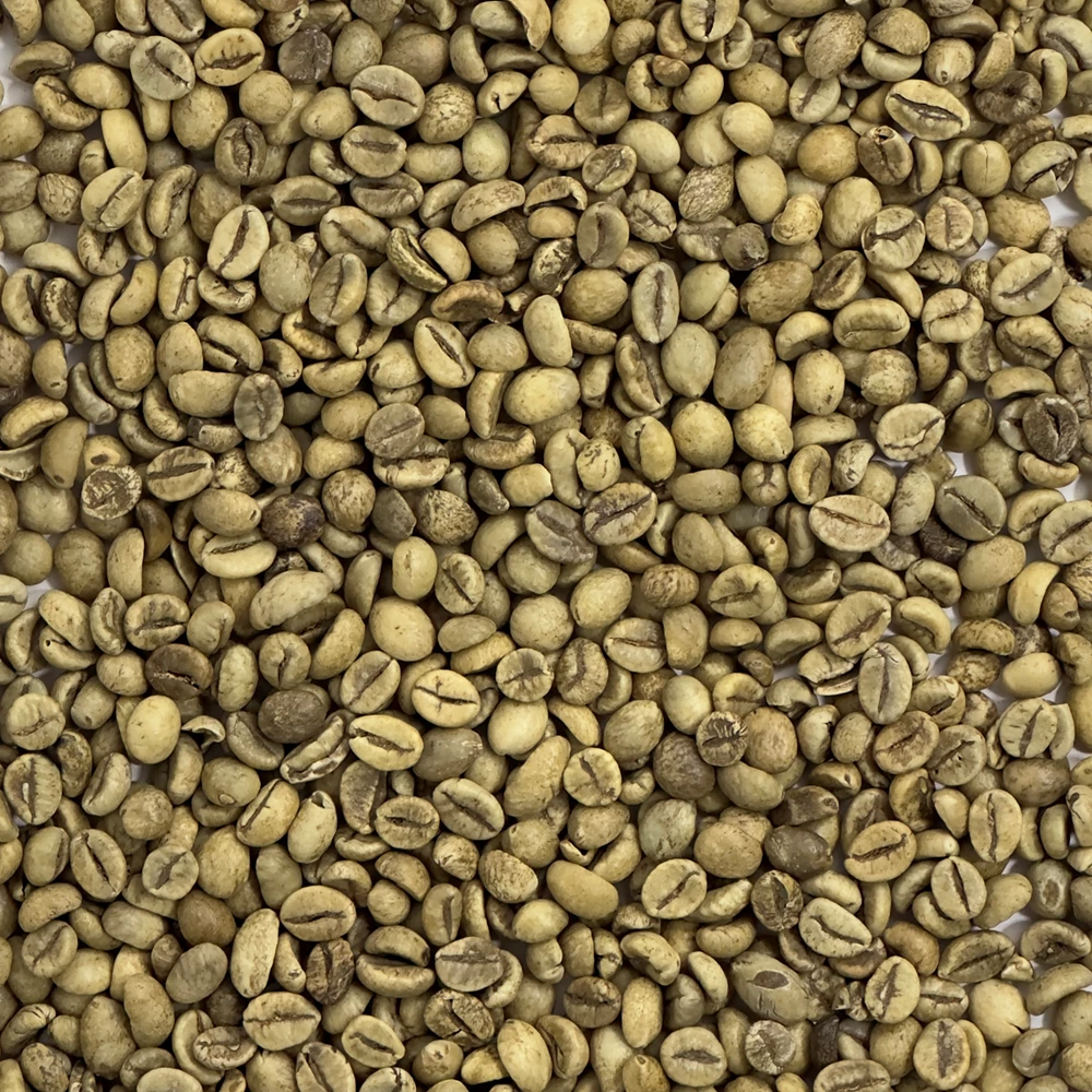 Guatemala Robusta Washed - Coffee Bean Corral