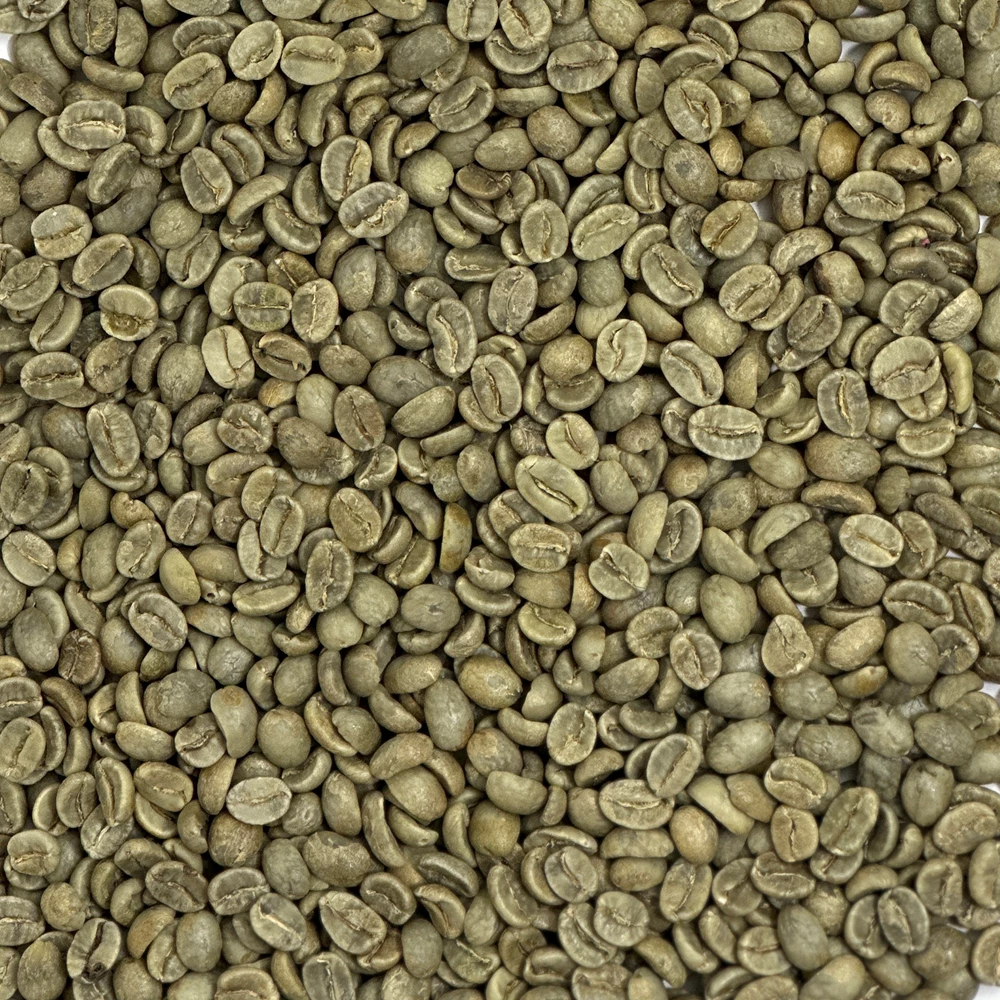 Colombia Bucaramanga El Gato Supremo - Coffee Bean Corral